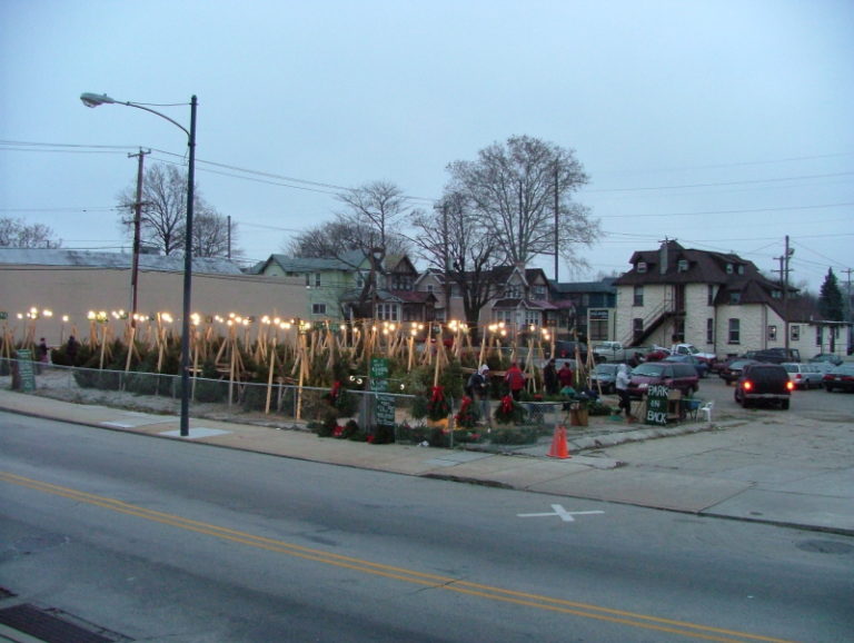 Selling Christmas Trees in Lansdowne PA For over 40 years