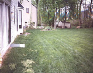 Flagstone Patio w_wall Before.jpg (23314 bytes)