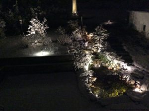 Low Voltage LED Lights on Pond and Steps in Winter