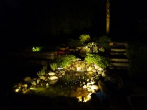 Back Yard Pond lit up while other lesser features are still in the dark.