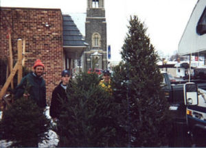 Three sizes of Christmas trees.jpg (26722 bytes)