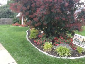 Front beds Drexel Hill, PA